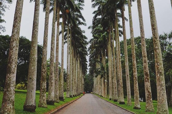 Aburi Botanical Gardens: A Nature Lover's Paradise